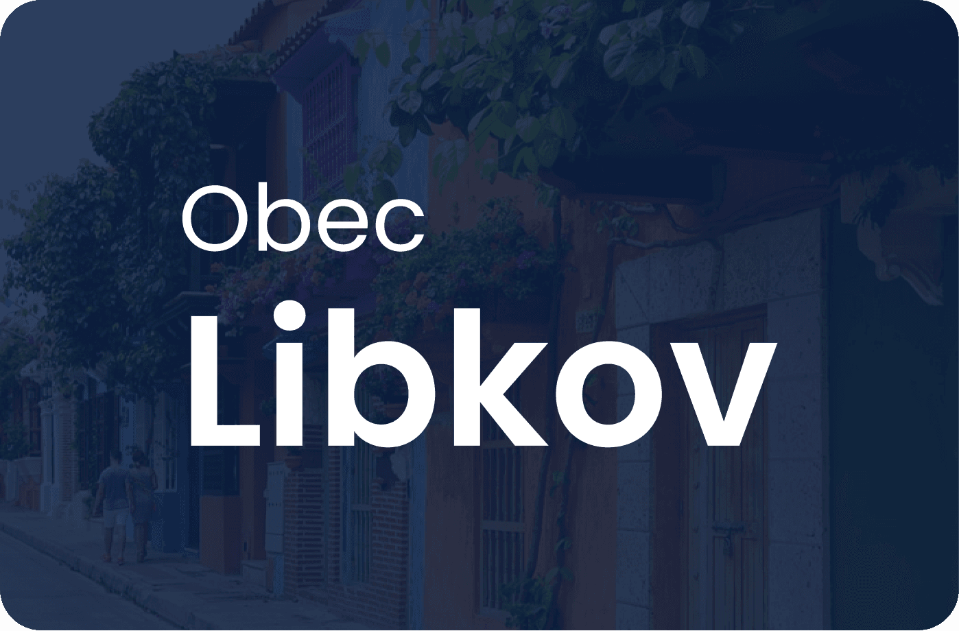 Náhled webu obce Libkov