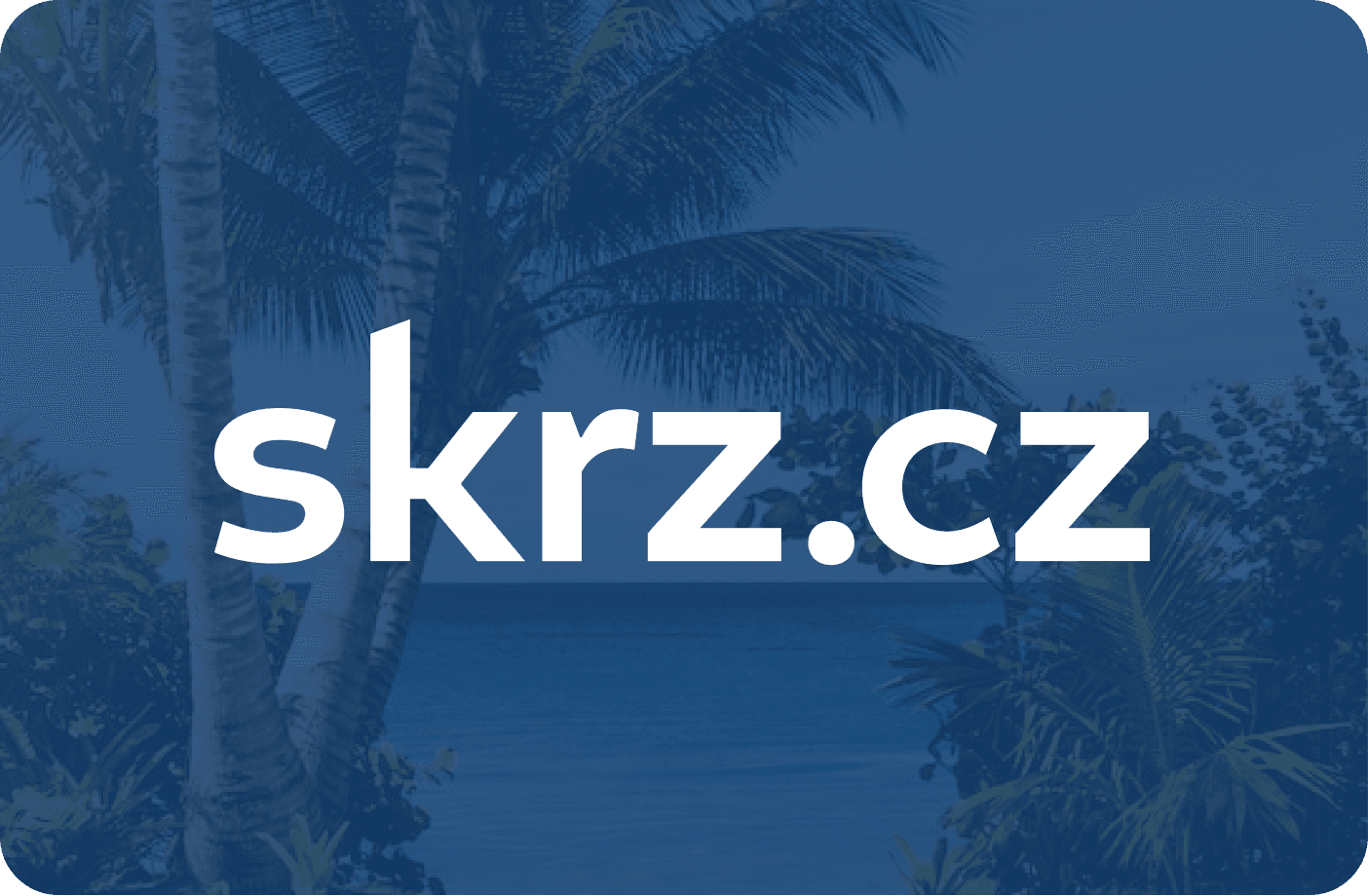 Náhled webu Skrz.cz